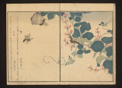 Ampiaiset ja karvainen toukka nuolenjuuressa tekijältä Kitagawa Utamaro