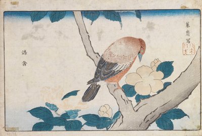 Untitled tekijältä Kitao Masayoshi