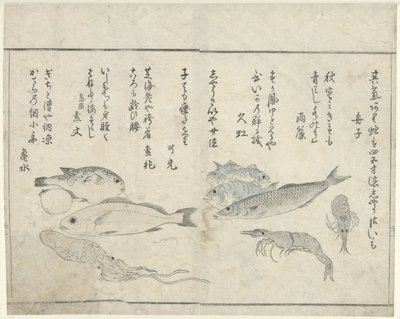 Merieläimet tekijältä Kitao Masayoshi