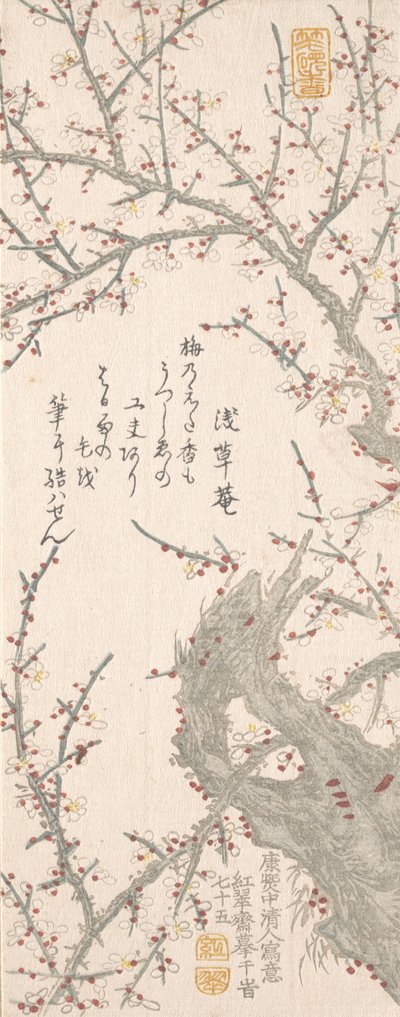 Luumupuu kukkimassa, 1813. tekijältä Kitao Shigemasa