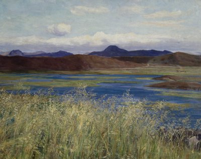 Jær-maisema (Maisema Jærenistä) (öljy kankaalle) tekijältä Kitty Lange Kielland