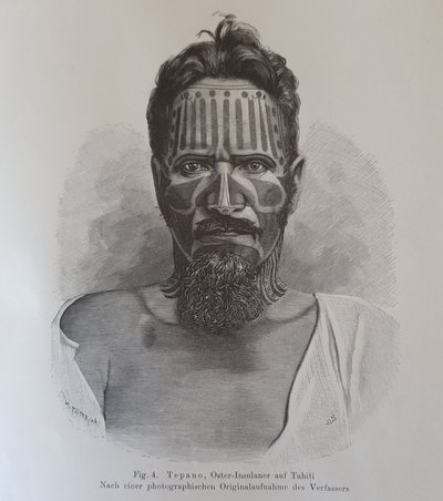 Juan Tepano, kuvitus "Pääsiäissaarelaisten tatuoinneista", Hjalmar Stolpe tekijältä Knut Hjalmar (after) Stolpe