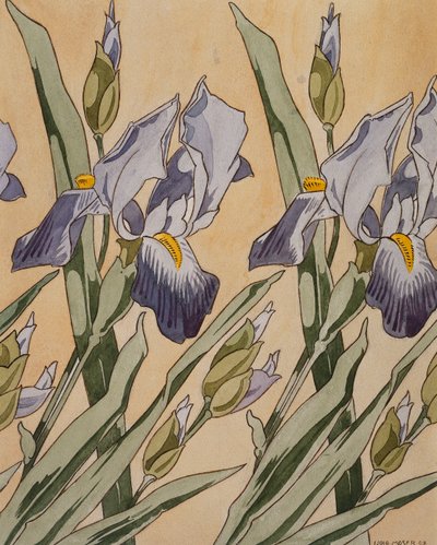Iris, 1898 tekijältä Koloman Moser