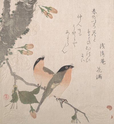 Bullfinches ja kirsikankukat, 1800-luku. tekijältä Kubo Shunman