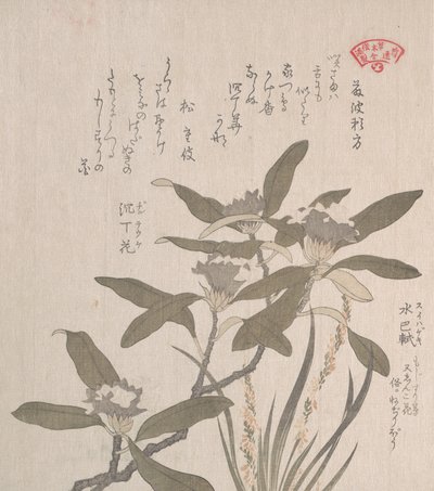 Daphne Odora ja Mojisuri-so, 1800-luku. tekijältä Kubo Shunman