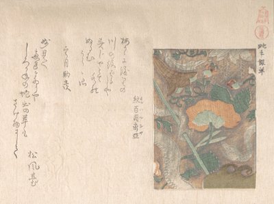 Tuontinahkojen mallit, 1800-luku. tekijältä Kubo Shunman