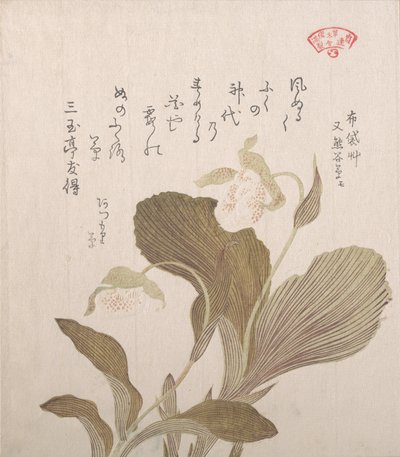 Hotei Flowers, 1800-luku. tekijältä Kubo Shunman