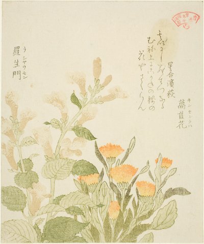 Kasumin runopiiri - Marigold (Kinsenka) ja Rashomon Flowers tekijältä Kubo Shunman
