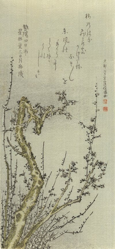 Vanha luumupuu, 1796. tekijältä Kubo Shunman