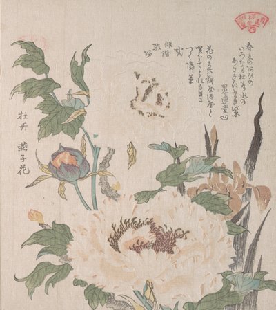 Pionit ja iirikset, 1800-luku. tekijältä Kubo Shunman