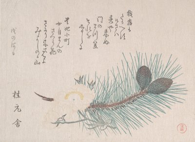 Pines and Cherry Blossoms, luultavasti 1814. tekijältä Kubo Shunman