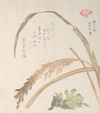 Rice Plant and Butter-Burs, 1800-luku. tekijältä Kubo Shunman