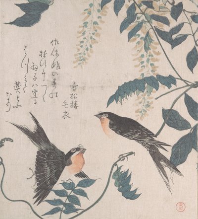 Pääskyset ja Wisteria, 1800-luku. tekijältä Kubo Shunman