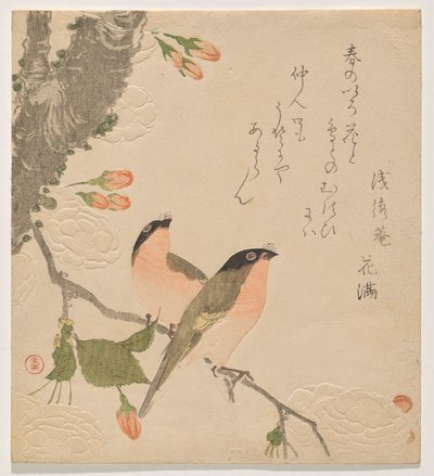 Kaksi härkävartista kaksiteräisellä kirsikkapuulla (Uso ni Yae-zakura) tekijältä Kubo Shunman