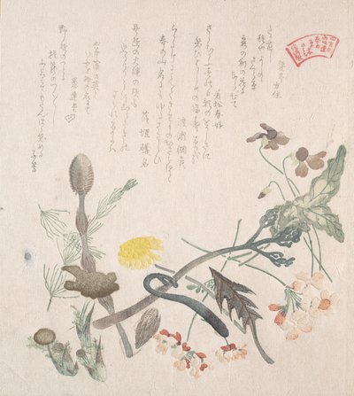 Violetteja, esikukkia ja muita kevätkukkia, 1800-luku. tekijältä Kubo Shunman