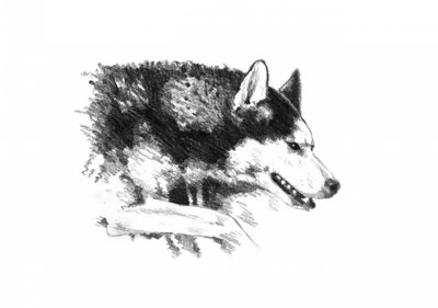  tekijältä Kulik