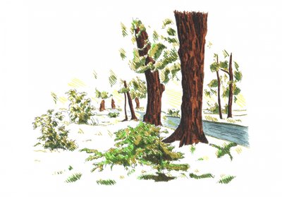  tekijältä Kulik