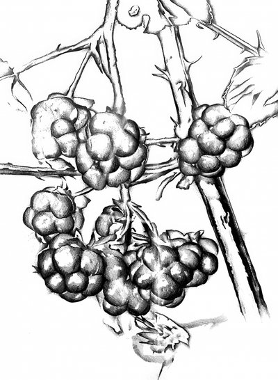 tekijältä Kulik