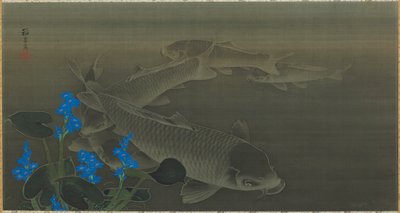 Karppi, Edo-kausi, 1800-luvun alku. tekijältä Kuroda Toko