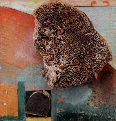 Ohne Titel (Merzbild mit Koralle) tekijältä Kurt Schwitters