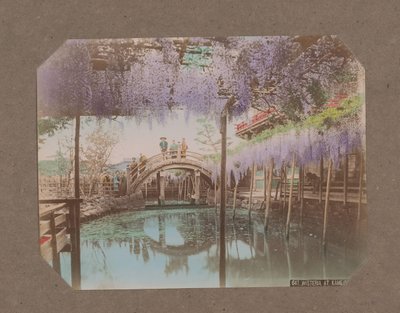 Ihmisiä sillalla, Wisteria kukkii etualalla, Kameidossa, Tokiossa, Japanissa tekijältä Kusakabe Kimbei