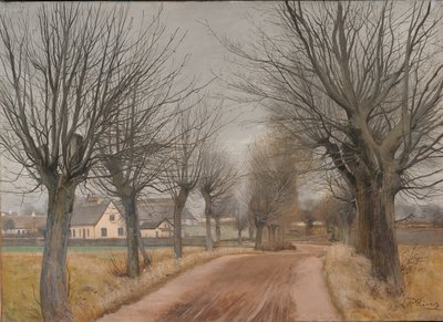 Tie lähellä Vinderødia, Seelanti tekijältä Laurits Andersen Ring