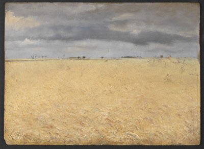 Ruispelto lähellä Ring Villagea tekijältä Laurits Andersen Ring