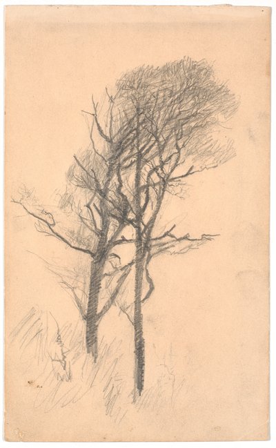Kaksi puuta matalalla aluskasvillisuudella tekijältä Laurits Andersen Ring