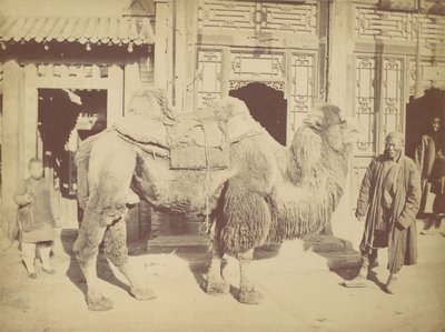 Peking. /. 923, 1867. tekijältä Lai Fong.