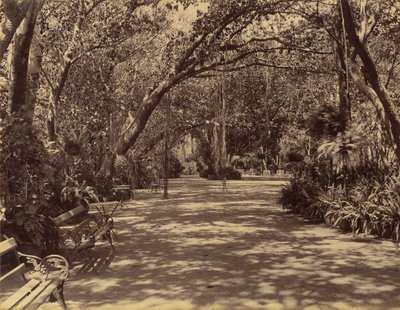 Sukh-Vilas Palace Garden, 1880-90. tekijältä Lala Deen Dayal