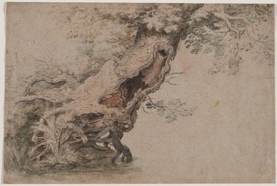 Hollow Tree, Roelant Saveryn mukaan, vuoden 1670 jälkeen. tekijältä Lambert Doomer