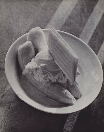 Banaanisotku, Etonin kaviaari (m/w kuva) tekijältä Laszlo Moholy Nagy