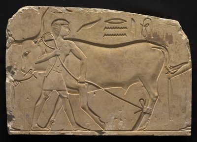Miehet, jotka turvautuvat härään, 667-647 eaa tekijältä Late Period Egyptian