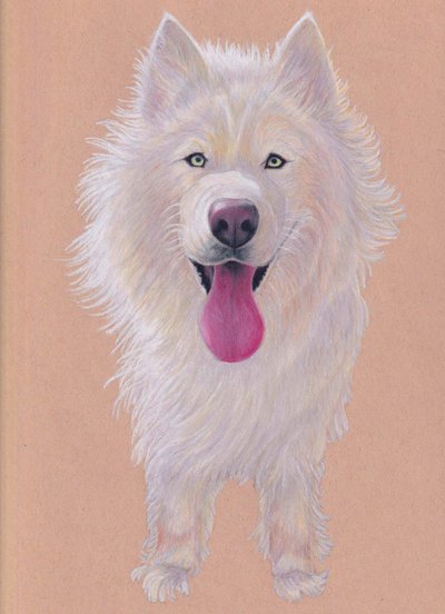 Snowky, 2021 (värikynä sävytetylle paperille) tekijältä Laurie Michaels