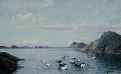 Etelärannikko merilintuineen tekijältä Lauritz Haaland