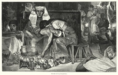 Esikoisen kuolema: viimeinen Egyptin kymmenestä vitsauksesta (litho) tekijältä Lawrence (after) Alma Tadema