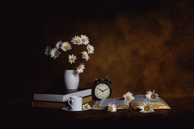 Daisies Books: Aamun rauha tekijältä Leah Xu