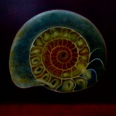 Vihreä Ammonite, 2020 tekijältä Lee Campbell