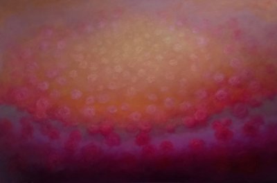 Rapture in Rose, 2025 tekijältä Lee Campbell