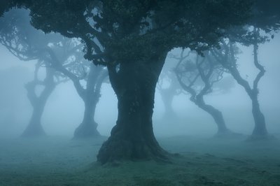 Ancient Order II, 2025 (kuva) tekijältä Lee Cooper