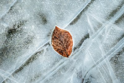 Ennen sulamista, 2023 (kuva) tekijältä Lee Cooper