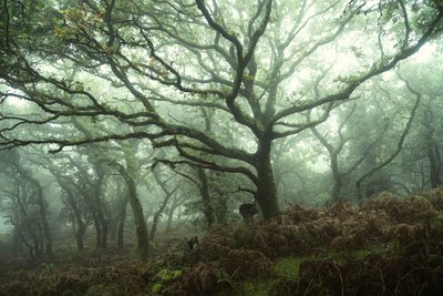 Katos, 2024 (kuva) tekijältä Lee Cooper
