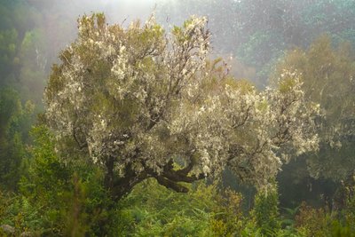 Herkkä, 2025 (kuva) tekijältä Lee Cooper