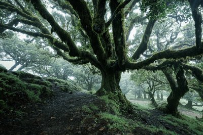 Forgotten Land II, 2025 (kuva) tekijältä Lee Cooper