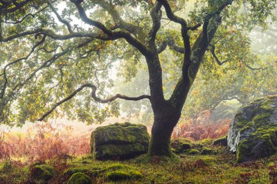 Unohdetut maat, 2024 (kuva) tekijältä Lee Cooper
