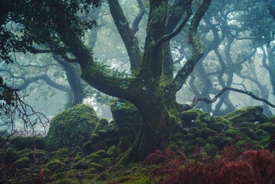 Frosted Light, 2024 (kuva) tekijältä Lee Cooper