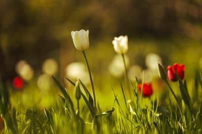 The Quiet Hour, 2021 (kuva) tekijältä Lee Cooper