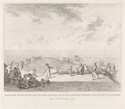 Valas huuhtoutui Zandvoortin rannalle Kuva Vin-Visistä (...) jumissa Wyk aan Zeen ja Zandvoordin välissä, 18. marraskuuta 1791 (otsikko esineessä) tekijältä Leendert Overbeek
