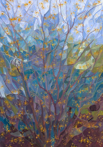 Taikapähkinän kukka, 2015 tekijältä Leigh Glover
