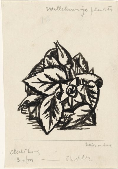 acabat floral tekijältä Leo Gestel